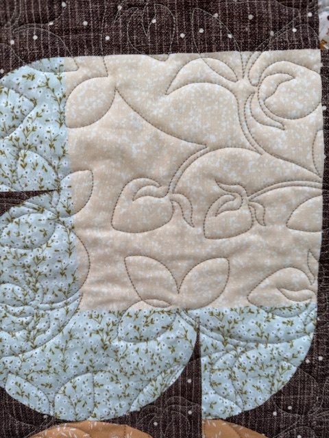 Teddy Bear Paw Quilt Kit // Blossom Breeze