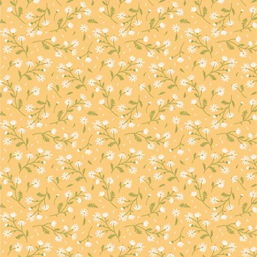Sunshine and Chamomile//Chamomile Yellow