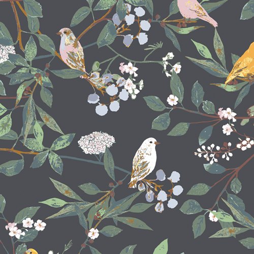 Plentiful // Melodic Plumage Night