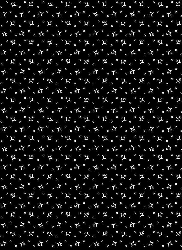 Midnight Rhapsody // Tiny Calico Flower Black/White