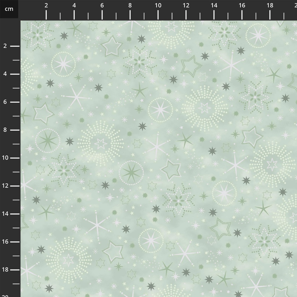 We Love Christmas // Style MCS25-04 LtDustyGreenSilver Stars