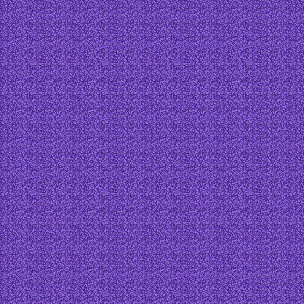 Molly's Magic // Flox Aster