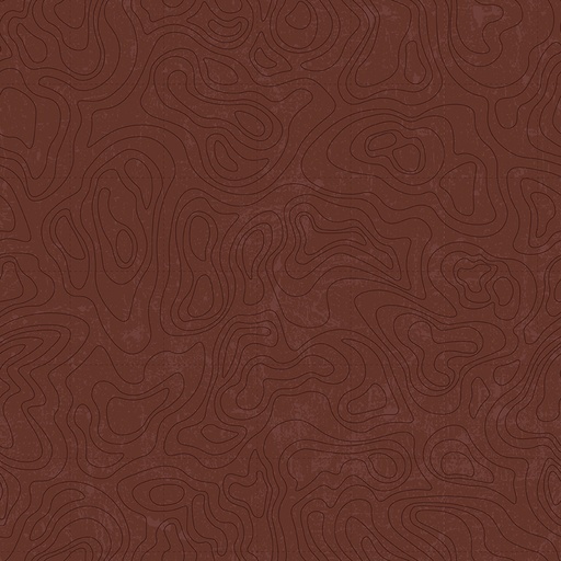[C13293-BROWN] National Parks // Topographic - Brown