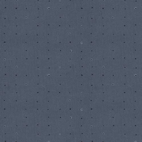 [SDL20108] Seedling // Seeds Denim