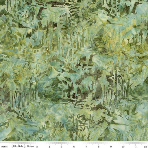 [BT23219-324] Places You'll Go // Thyme