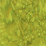 [732Q-11] Boho Blooms  // Word Collage - Grass