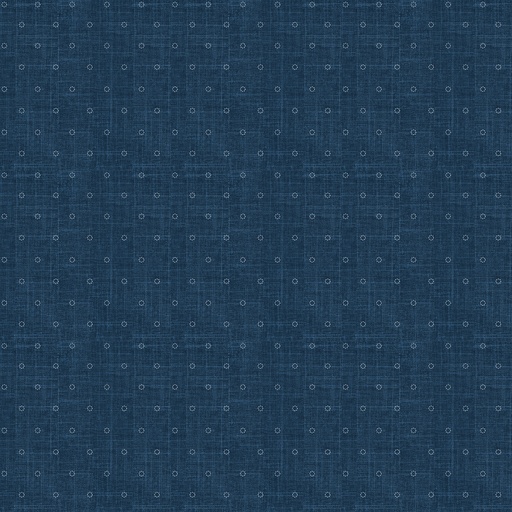 [92021-49] Stash // Stitches, Denim