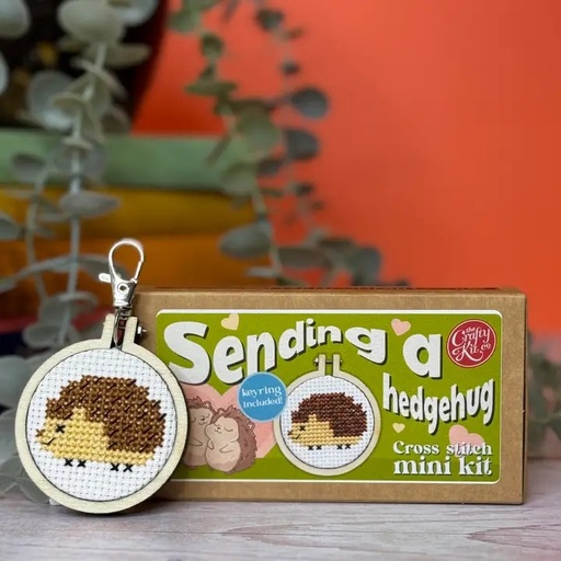 [CKC-MB-128] Mini Matchbox Cross Stitch Kit // Sending a hedgehug