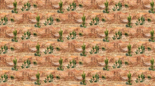 [DP28246-34] Stonehenge Sedona Spirit // Lt Rust 