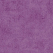 [C200-92 GRAPE D] Shades // Grape